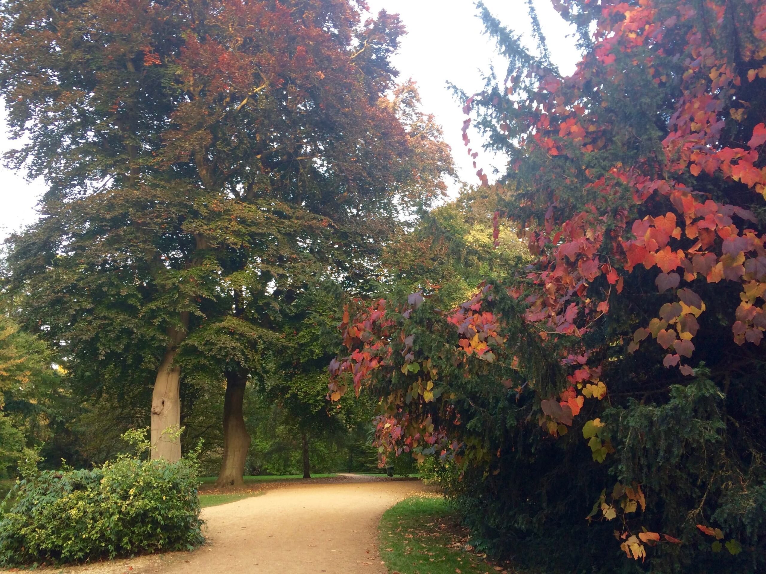 Oxford: Week 2—Eerie peach skies, crew dates, and a very windy afternoon of mixed doubles