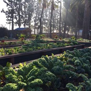 Sustainable Urban Agriculture in Action