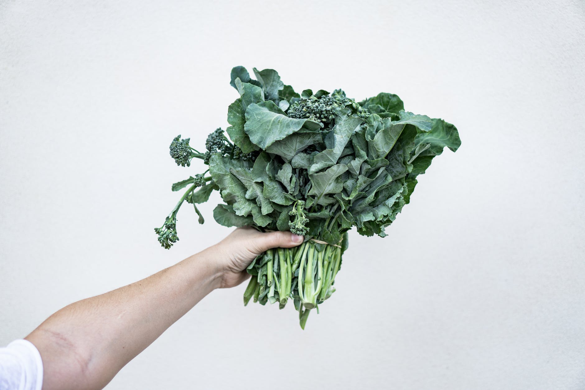 How to keep your leafy greens fresh